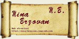 Mina Brzovan vizit kartica